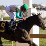 Anna’s Bandit delivers first Maryland foal of ’23