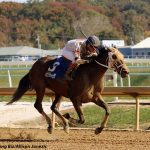 Off the Pace: Chatting with the old-timers