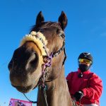 Off the Pace: The racetrack of the future