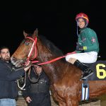 Spectacular Bid: Three different looks