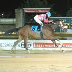 Midlantic-breds among late Triple Crown nominees