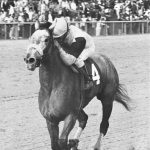 Jockey Club fact book now available