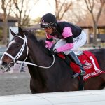 Muad’dib named WV horse of the year in melancholy ceremony