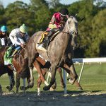 Ninetyprcentmaddie could try G2 Wood Memorial