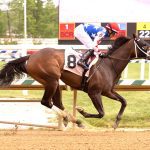 Lightnin Runner strikes in Its Binn Too Long
