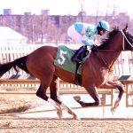 Idiomatic prevails in Delaware Handicap thriller