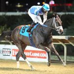 Anchor & Hope offers exciting stallions at reasonable prices
