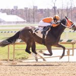 Coastal Mission sails to Confucius Say victory