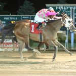 Goodgirl Badhabits opens eyes with flashy wins