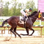 Laurel Park to go forward with De Francis card