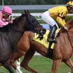 With Preakness starter Coffeewithchris, Salzman taking his shot