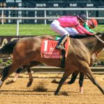 Preakness 2023 VIDEO: Once it gets in your blood…