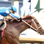 Photo gallery: Preakness Tuesday