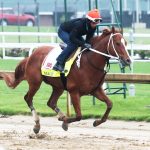Salzman barn has clean sweep of Laurel juvenile races