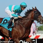 National Treasure takes topsy-turvy Preakness