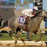 Preakness profile: Chase the Chaos