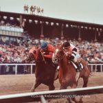 Photo gallery: Preakness Tuesday