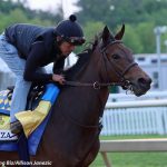 First Mission scratched from Preakness