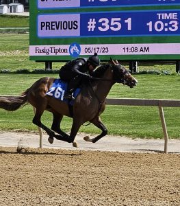 Fasig-Tipton