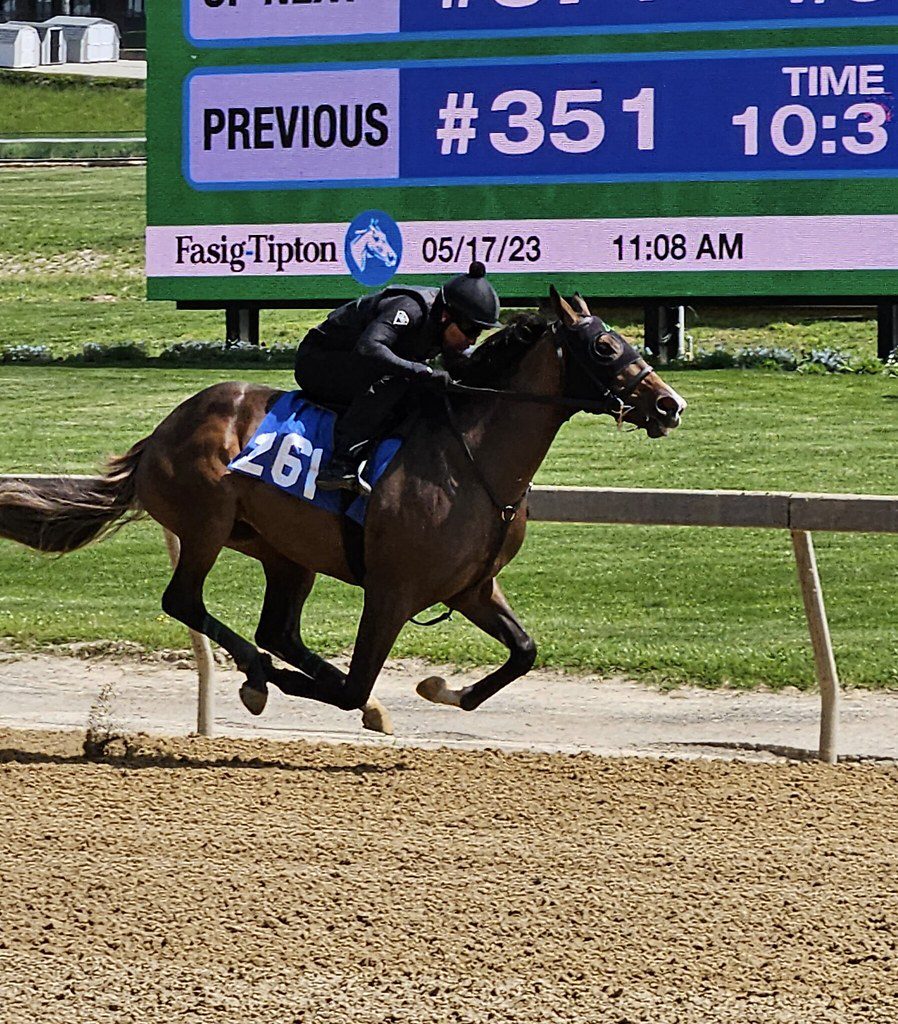 Fasig-Tipton