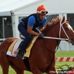 National Treasure takes topsy-turvy Preakness