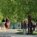 Preakness: Goal Oriented added to fray