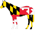 Breeders’ Cup: Behind every horse a human story