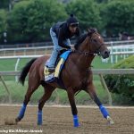 Preakness profile: Red Route One