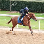 Familiar names set for Long Branch Stakes