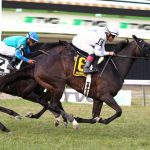 Bosserati earns first stake win in Stormy Blues