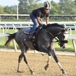 Experts’ Belmont Stakes and undercard picks