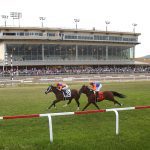 Delaware Park: Latest jockey and trainer stats