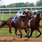 Md. Horse Foundation tabs new development director