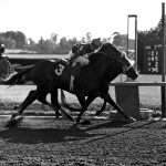 Millionaire Md-bred Cordmaker retired