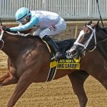 Plan ahead and plenty of water: riders, trainers beat the heat