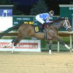 Disco Ebo returns in competitive Primonetta