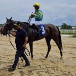 Colonial: Determined Kingdom defends Punch Line title