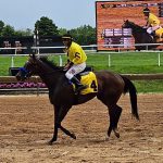 Wesley Ward duo looms large in Sensible Lady