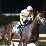 Trainer Kieron Magee reaches 1,000 wins