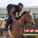 Super Accelerate looks to rev up big effort in Hilton Memorial