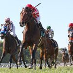 Witty seeks Ben’s Cat breakthrough
