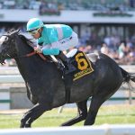 Sweet Soddy J slips through to Timonium Juvenile win