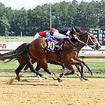 Understudy Kitty looks for starring role in Laurel Futurity