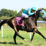 “What next” the lurking question for minor stakes winners