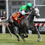 Track condition now part of Equine Injury Database