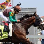 Witty seeks Ben’s Cat breakthrough