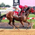 After long career, Frank Petramalo steps away
