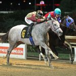 Understudy Kitty looks for starring role in Laurel Futurity