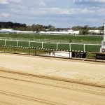 Post Time heads strong Midlantic Cigar Mile day group