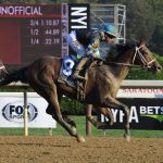 Timetable for closing Pimlico to training remains unclear